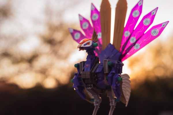 Rainbow Jerk Zoid at Sunset